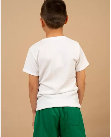 T-Shirt M